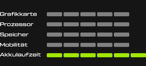 XMG CORE Performance Stats