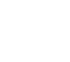 PROJECT V