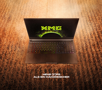 XMG GG Wallpaper Portal WP LS22