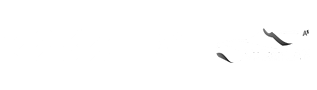 Mini Logo x XMG VulkanLAn