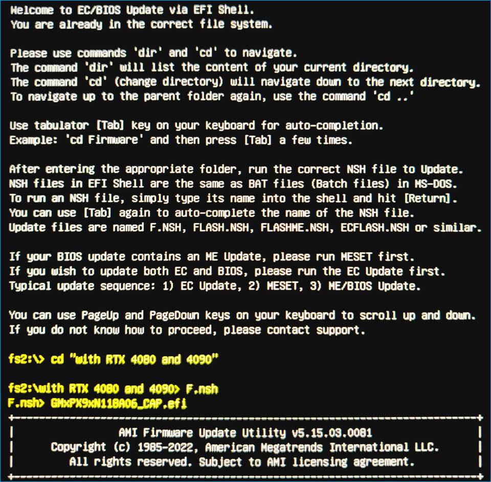 Image 2: Running the BIOS update